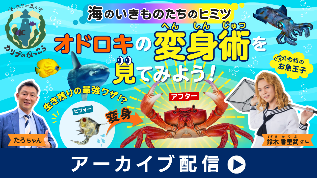 海のいきものたちのヒミツ★オドロキの変身術を見てみよう！