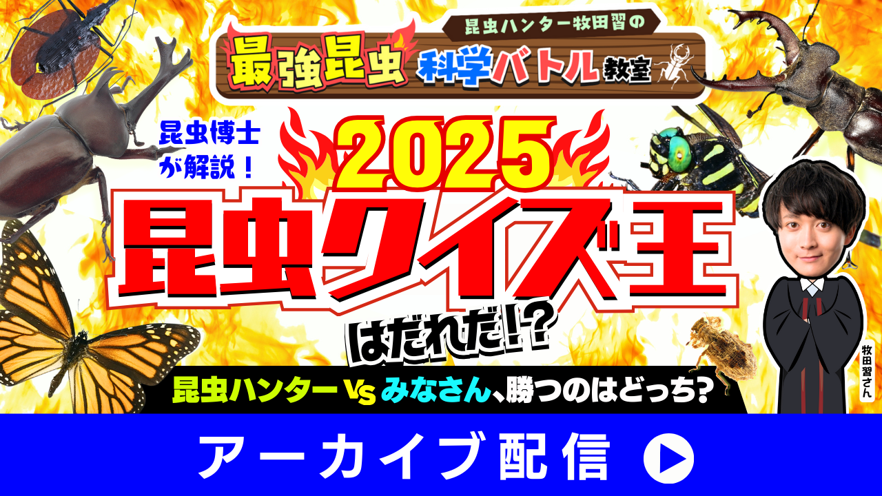 「最強昆虫」科学バトル2025☆昆虫クイズ王はだれだ？