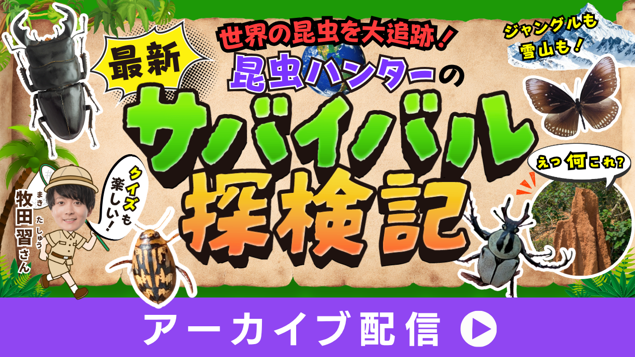 ＼最新／世界をめぐる！昆虫ハンターのサバイバル探検記☆
