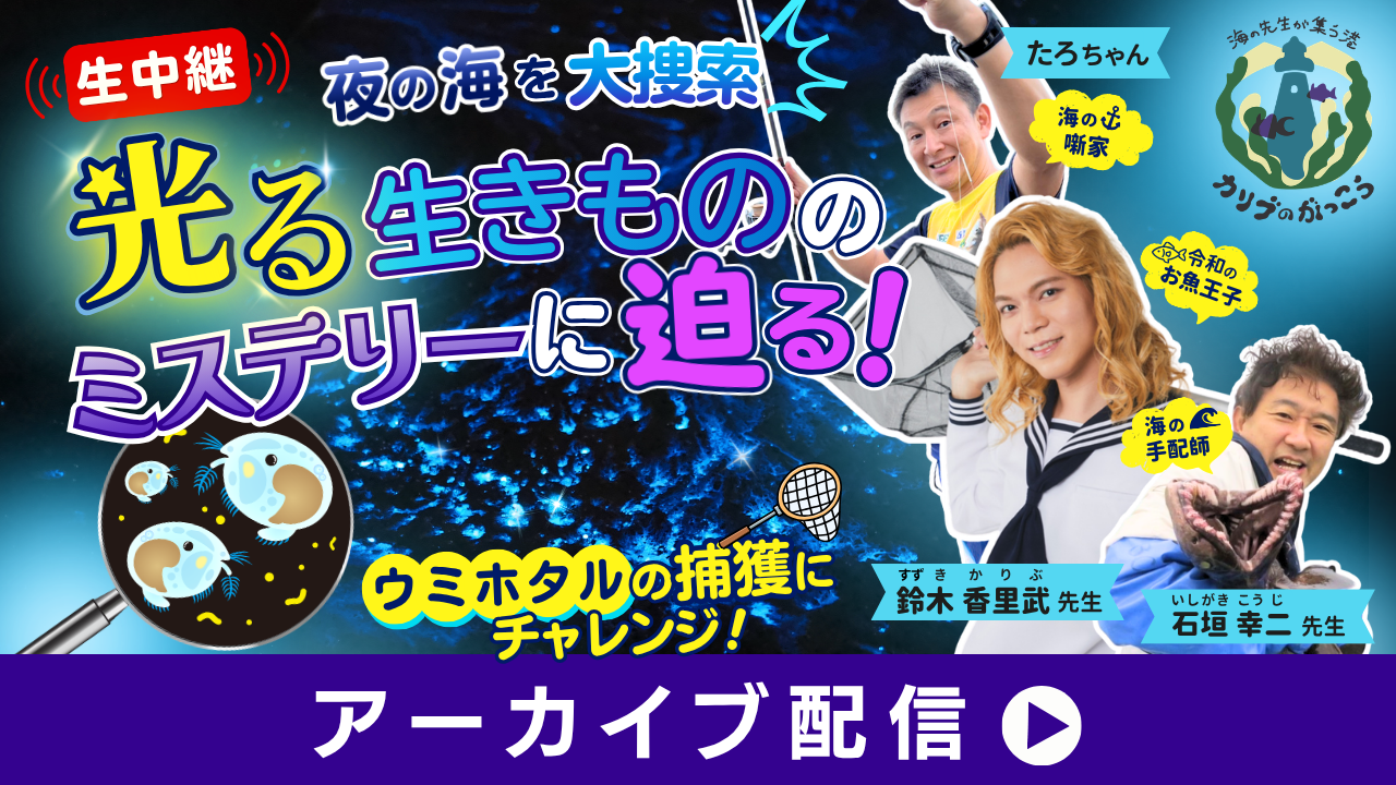 ＼生中継／夜の海を大捜索☆光る生きもののミステリーに迫る