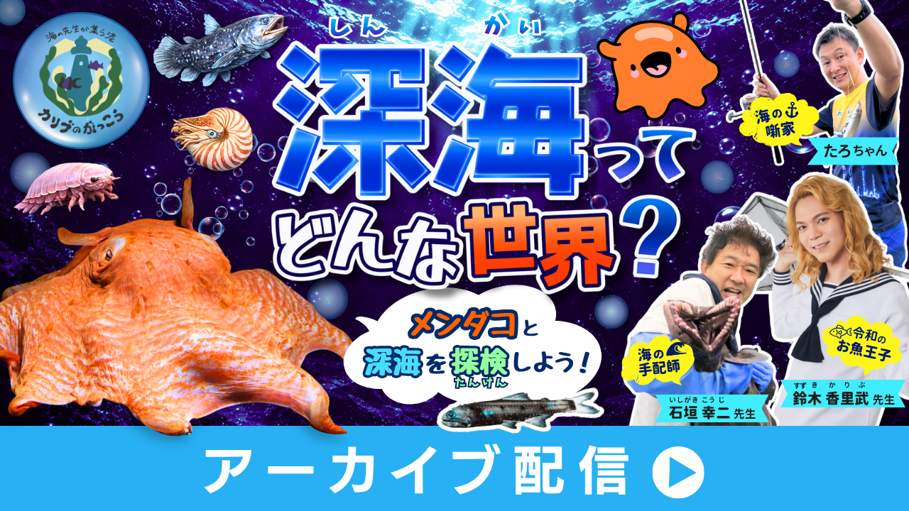 「深海」ってどんな世界？ ＼メンダコ／と深海探検しよう！