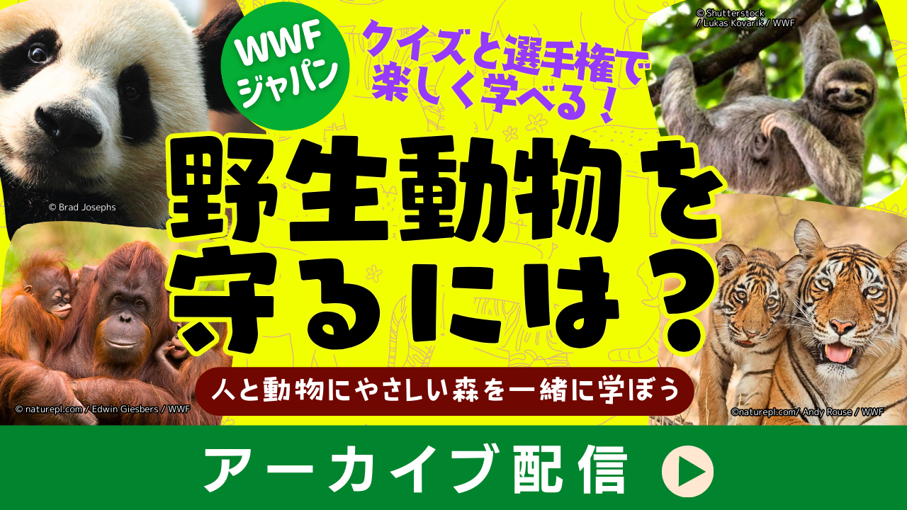 野生動物を守るには？人と動物にやさしい森を一緒に学ぼう☆